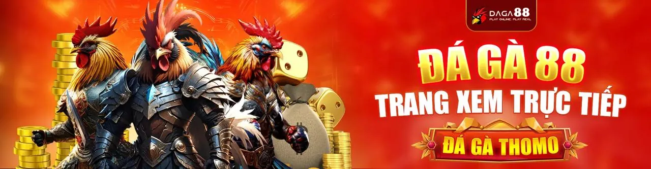 Sân đá gà Thomo C4 trực tiếp